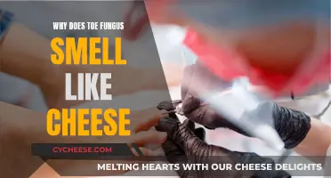 Toe Fungus and Cheese: What's the Stinky Connection?