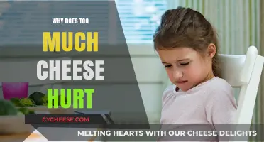 Why Excessive Cheese Consumption Can Cause Digestive Discomfort and Pain
