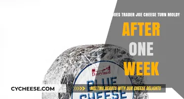 Why Trader Joe's Cheese Molds Quickly: Causes and Solutions