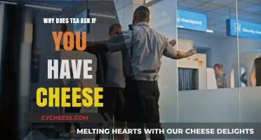 Why TSA Asks About Cheese: Unpacking the Unexpected Security Question