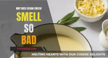 Vegan Cheese: Why the Stink?
