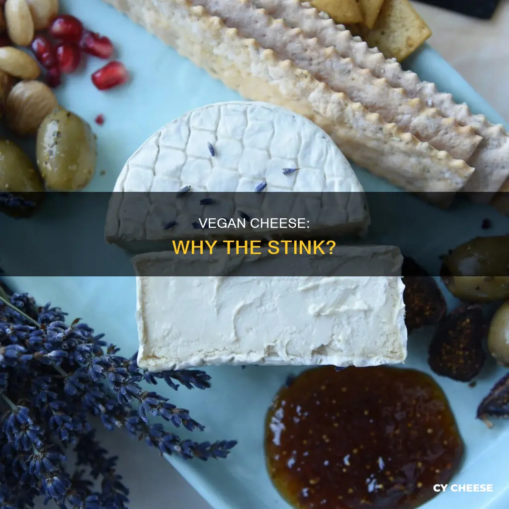 why does vegan cheese smell so bad