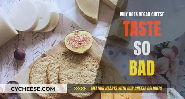 Vegan Cheese: Why It Tastes Awful