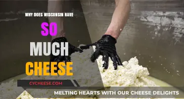 Wisconsin's Cheese Legacy: Unraveling the Dairy State's Tasty Dominance