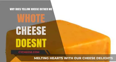 Why Yellow Cheese Irks Me While White Cheese Doesn't: Unraveling the Mystery