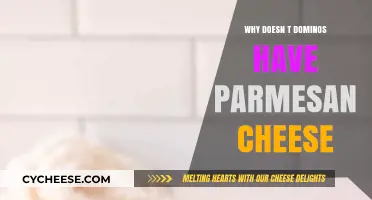 Domino's Missing Parmesan: Why No Cheese?