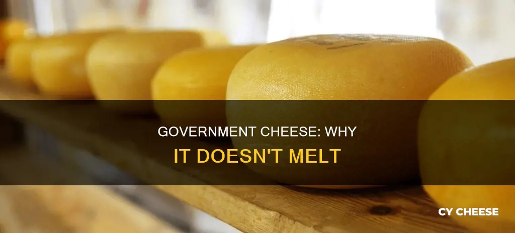 why doesn t government cheese melt