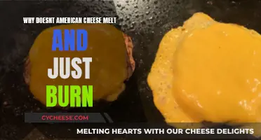 American Cheese: Burning Mystery, Melting Solution