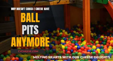 The Dark Side of Ball Pits: Chuck E Cheese's Decision