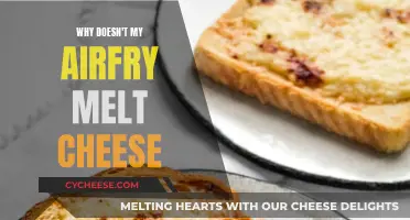 Air-Frying Cheese: Why It Doesn't Melt
