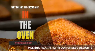 Cheese Not Melting? Try These Oven Hacks!