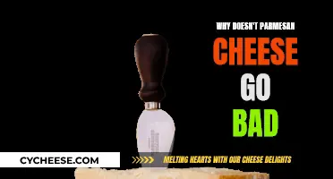 Parmesan Cheese: Why It Never Goes Bad