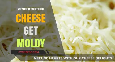 Shredded Cheese and its Anti-Mold Superpowers
