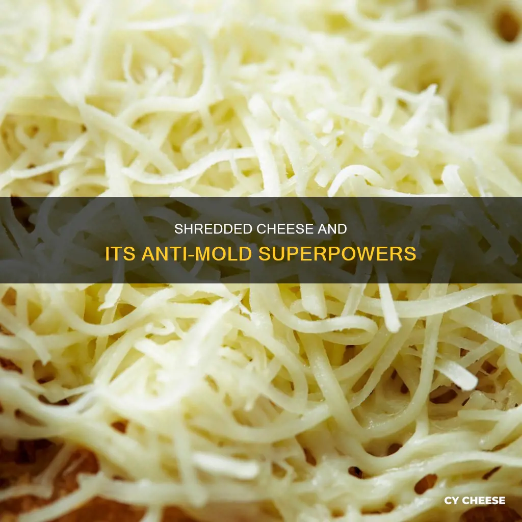 why doesnt shredded cheese get moldy