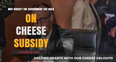Why Cheese Subsidies Persist: Government Policies Explained