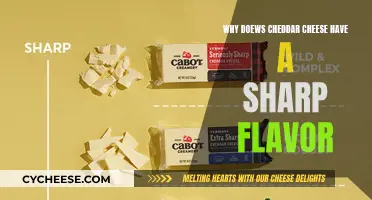 The Sharp Secret: Why Cheddar's Flavor Packs a Punch