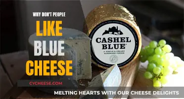 Blue Cheese Aversion: Why Some People Shudder