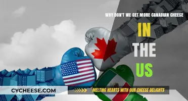 Canadian Cheese: Why is it Rare in the US?
