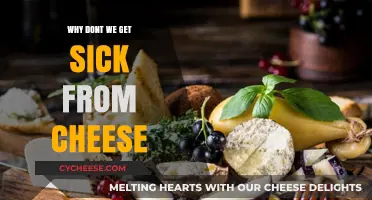 Cheese: Why It's Safe to Eat