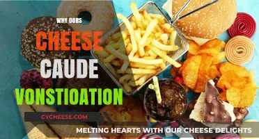 Why Does Cheese Cause Constipation? Unraveling the Dairy Dilemma