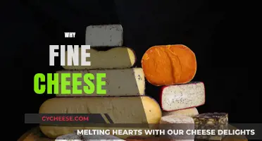Why Fine Cheese Elevates Every Culinary Experience and Moment
