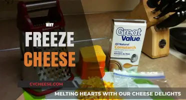 Freeze Cheese: Smart Storage Tips to Extend Freshness and Flavor
