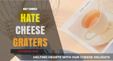 Furries vs. Cheese Graters: Unraveling the Unexpected Conflict