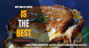 Grilled Cheese: The Ultimate Comfort Food