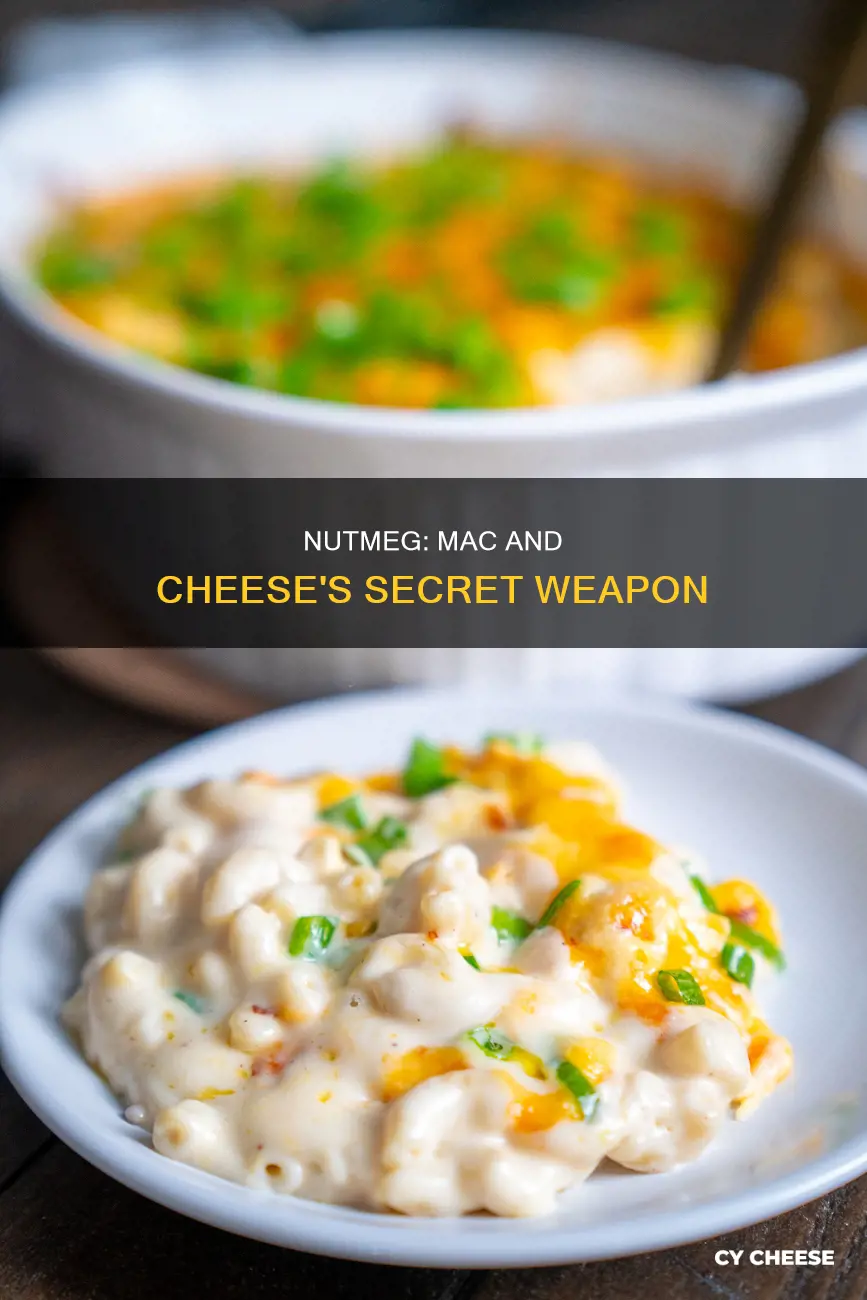 why ground nutmeg in macaroni and cheese