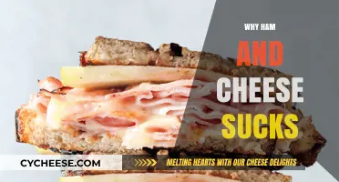 Ham and Cheese: Overrated, Bland, and Boring Sandwich Filler