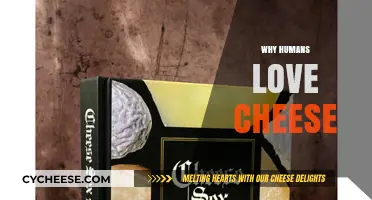 Why Humans Love Cheese: Exploring Our Timeless Culinary Obsession
