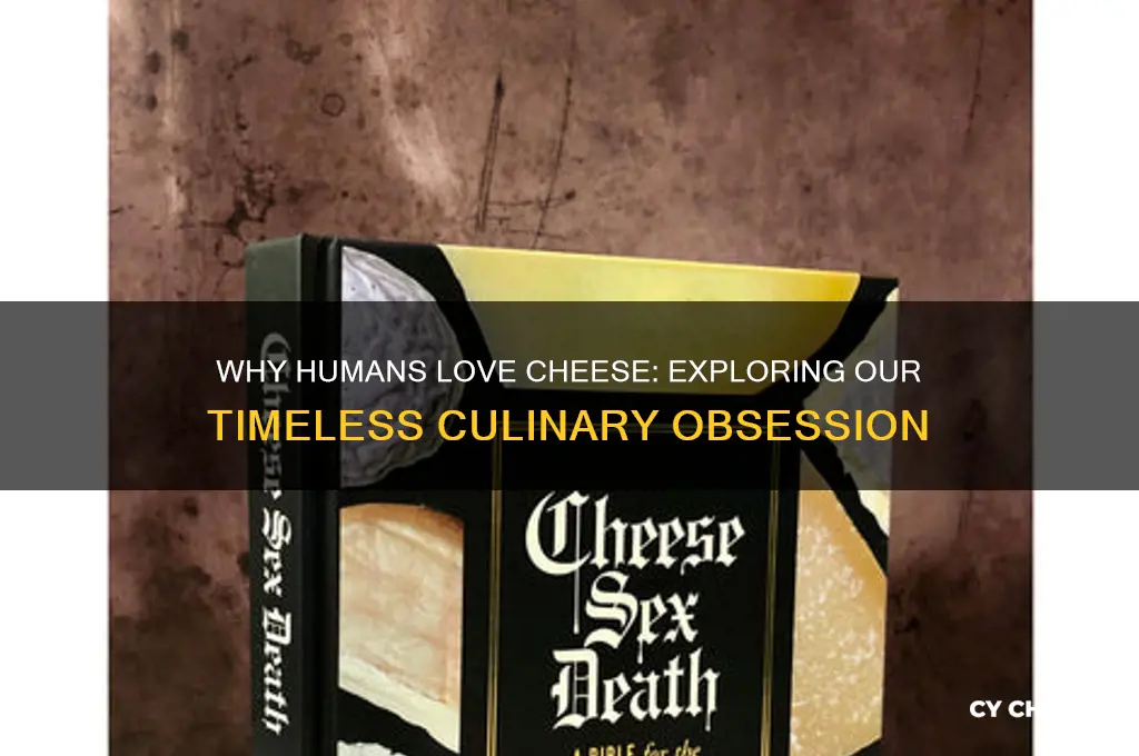 why humans love cheese
