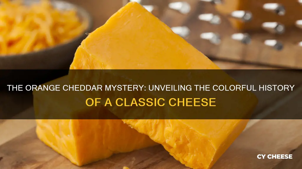 why ia cheddar cheese orange