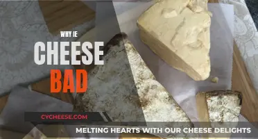 Cheese's Dark Side: Why It's Bad for You
