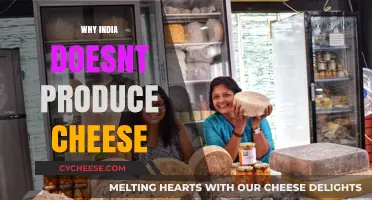 India's Dairy Dilemma: Why Cheese Production Remains Limited