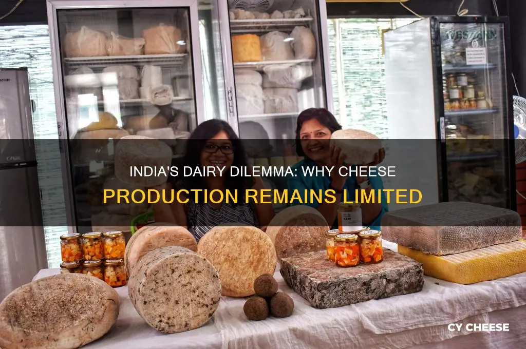 why india doesnt produce cheese