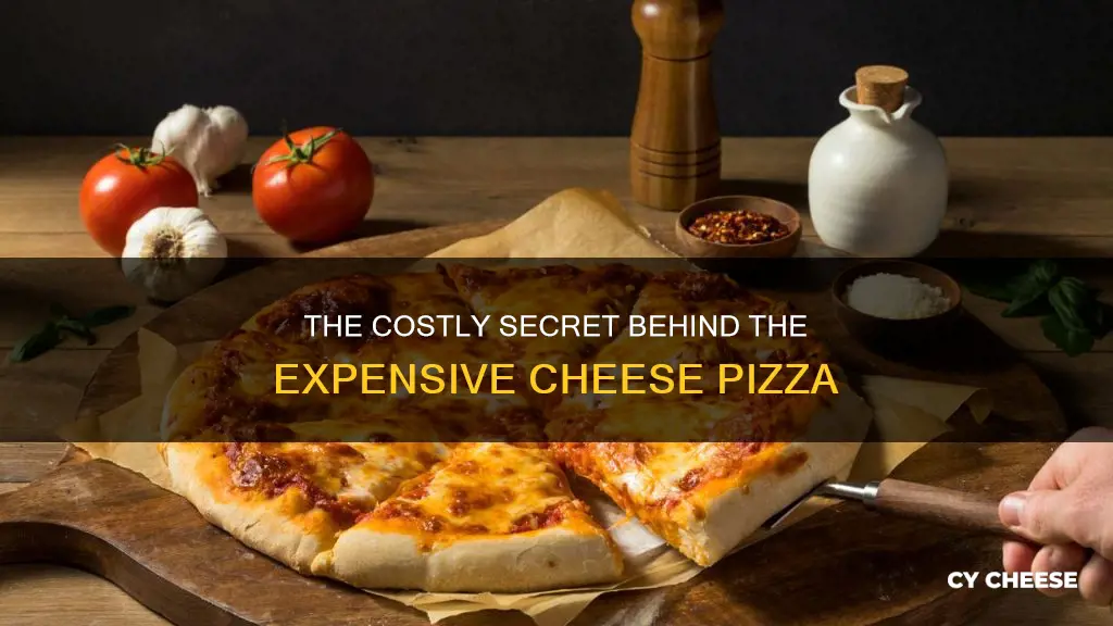 why is a cheese pizza expensive