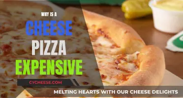 Cheese Pizza: Why the Expensive Price Tag?