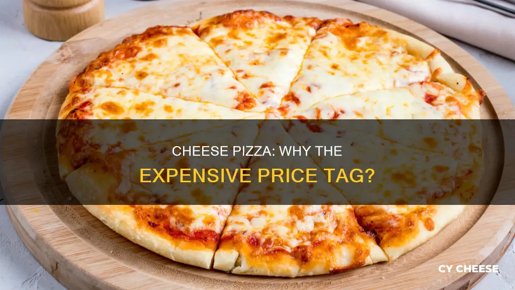 why is a cheese pizza expensive