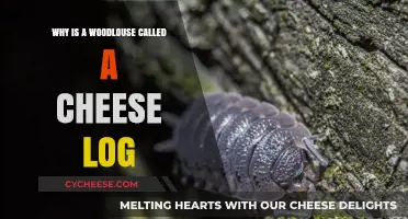 Why Woodlice Are Nicknamed Cheese Logs: Unraveling the Quirky Moniker
