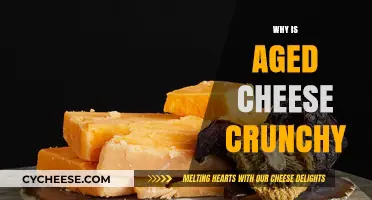 Crunchy Aged Cheese: Exploring the Science Behind Its Texture