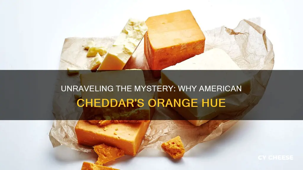 why is american cheddar cheese orange