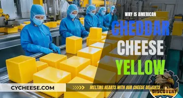 The Golden Secret: Why American Cheddar's Yellow Hue