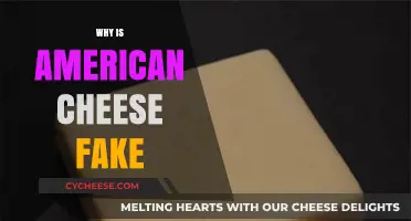 Unraveling the Mystery: Why American Cheese Isn't What You Think