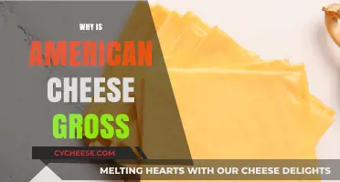 Why American Cheese Often Disappoints: Unraveling Its Unappealing Reputation