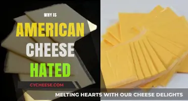 Why American Cheese Gets So Much Hate: Unraveling the Controversy