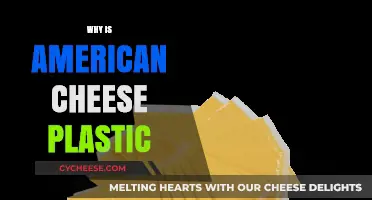 Why American Cheese Feels Like Plastic: Unwrapping the Mystery