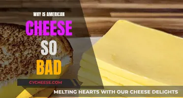American Cheese: Why is it so Bad?