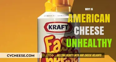 The Hidden Health Risks of American Cheese: What You Need to Know