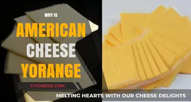 Why American Cheese is Yorange: Unraveling the Color Mystery